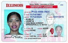 USA Driver Licenses